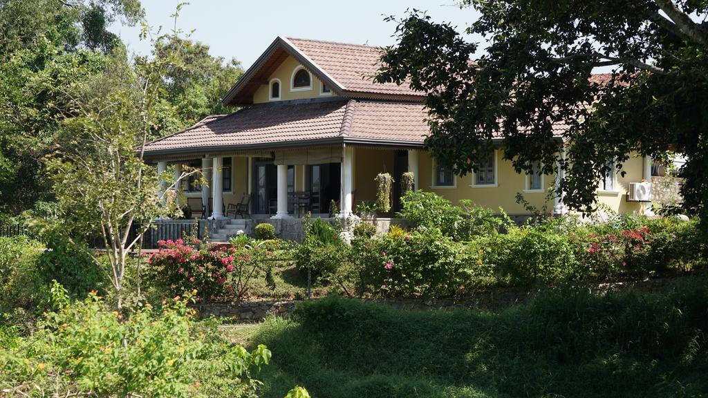 Villa Tee Four Digana Exteriér fotografie